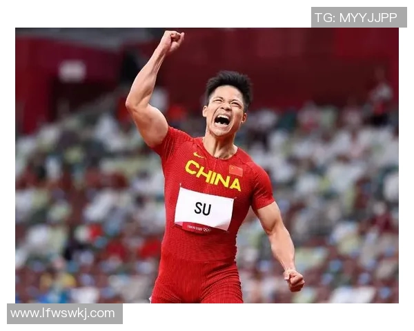 历届体育明星评选回顾与最佳运动员排名分析