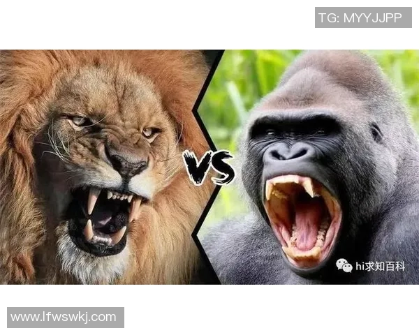 东京与怕太阳神的对决谁能在这场较量中胜出 东京与怕太阳神的对决谁能在这场较量中胜出