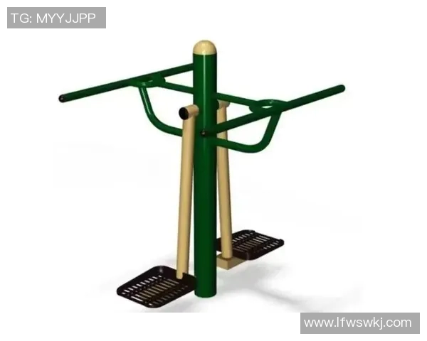 公园健身器材大揭秘你知道有哪些适合不同人群的健身设备吗